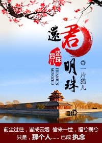 (历史同人)四八穿越还珠之还君明珠